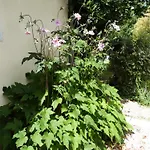 Logis De La Brumanderie 3* Fontcouverte (Charente-Maritime)