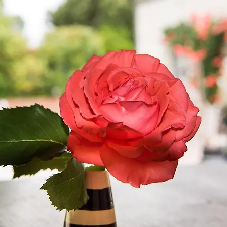 Le Logis De La Brumanderie - Saintes 3* Fontcouverte (Charente-Maritime)