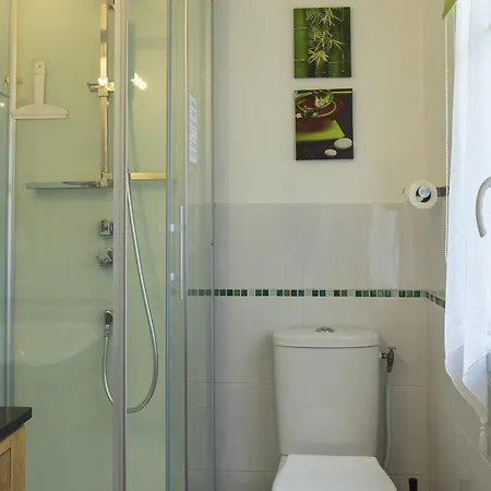Le Logis De La Brumanderie - Saintes 3* Fontcouverte (Charente-Maritime)