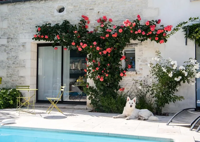 Le Logis De La Brumanderie - Saintes 3* Fontcouverte (Charente-Maritime)