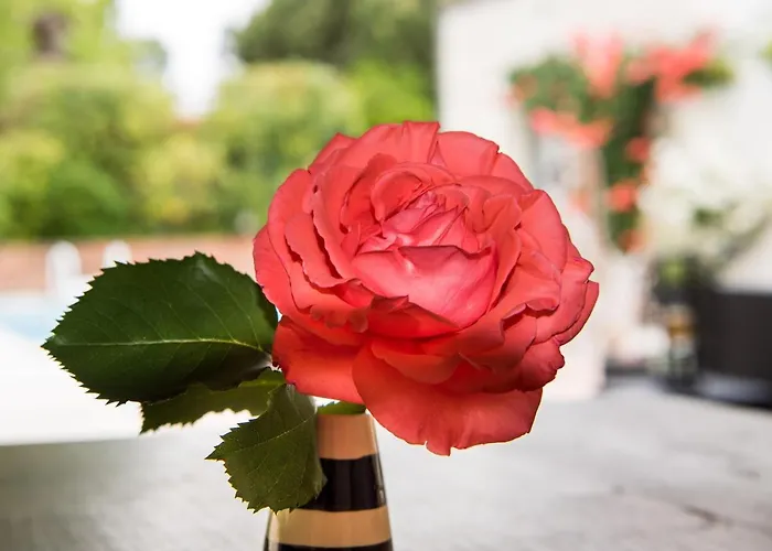 Le Logis De La Brumanderie - Saintes 3* Fontcouverte (Charente-Maritime)