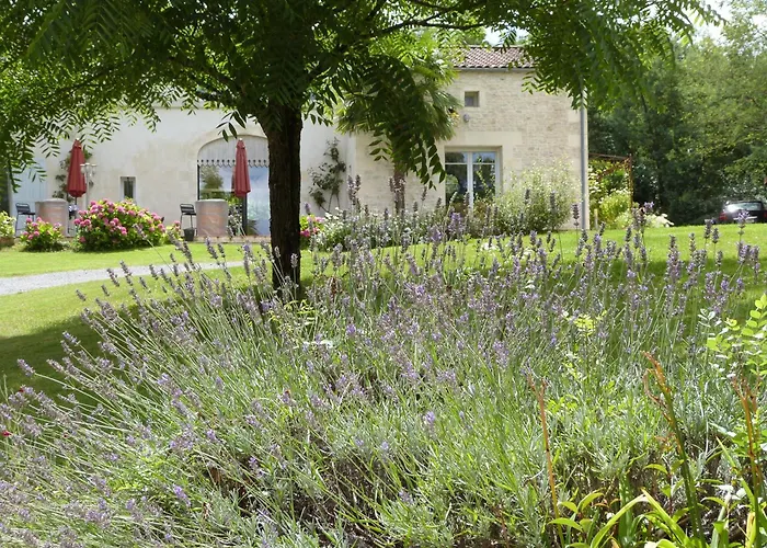 Le Logis De La Brumanderie - Saintes 3*